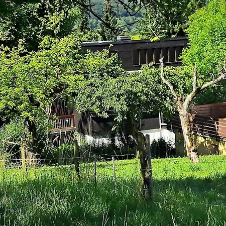 Heckenaecker Lejlighed *