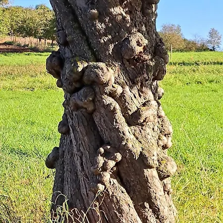 Heckenaecker * Ortenberg (Hessen)